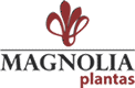 Magn�lia Plantas