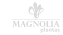 Magn�lia Plantas