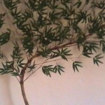 Bambu-moss�